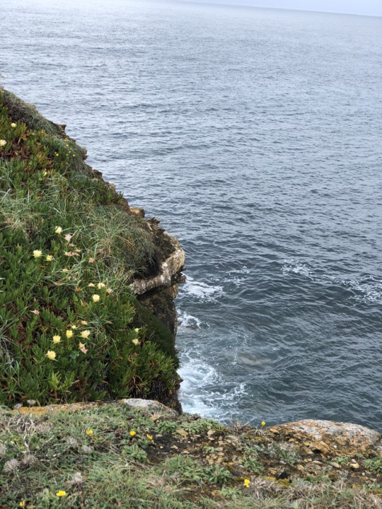 IMG-4196.JPG IMG-4196.JPG