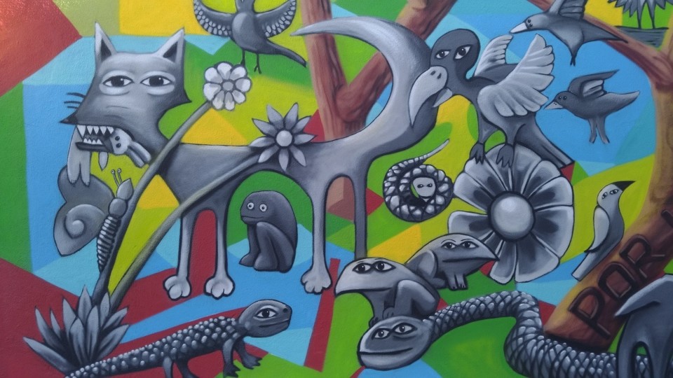 foto Pedro Pinhal 32.jpg