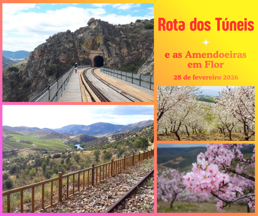 Rota dos Túneis_Amendoeiras Flor.png