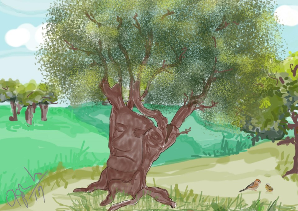 freixo e rolas2_LI.jpg