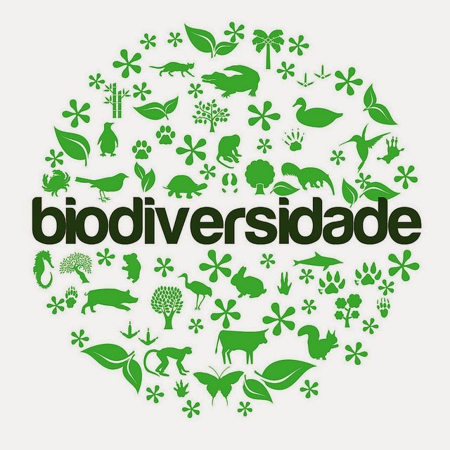 Biodiversidade.jpg