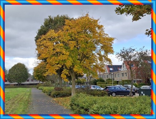 10a_Aniversário_da_Bia (92).jpg