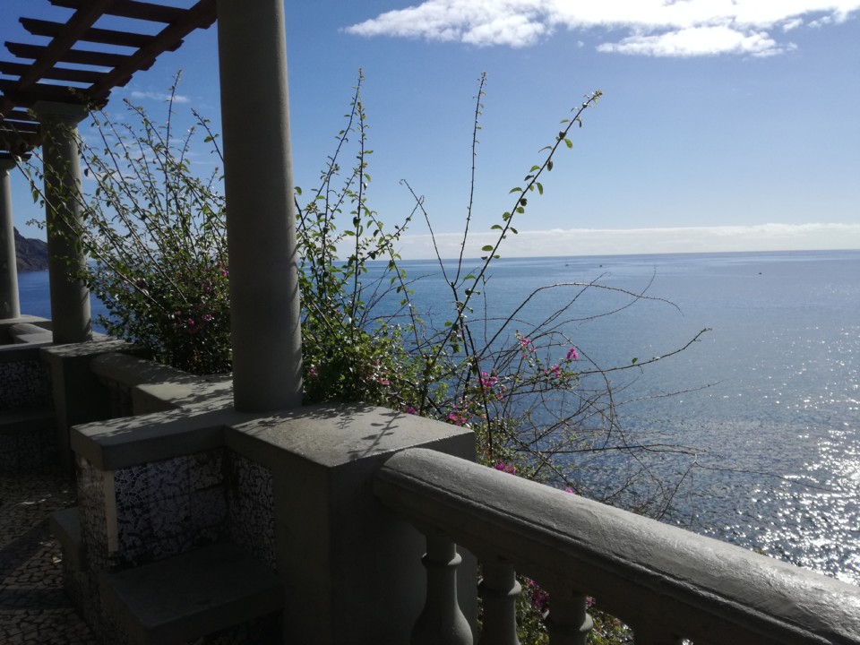 IMG_20200126_122826.jpg IMG_20200126_122826.jpg