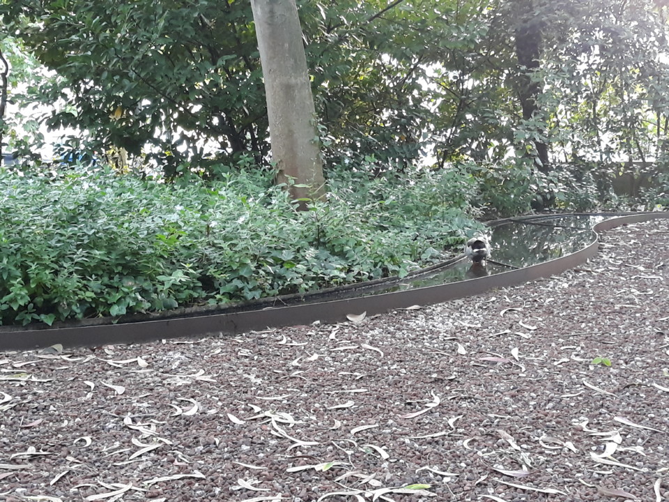 20200506_193016.jpg 20200506_193016.jpg