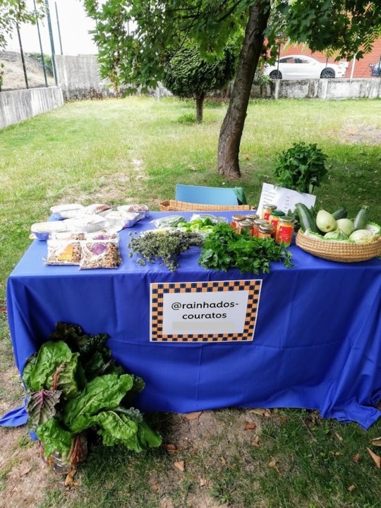 IMG_20190712_113838.jpg IMG_20190712_113838.jpg