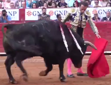 Ant.Ferrera e toiro indultado na Praça México em