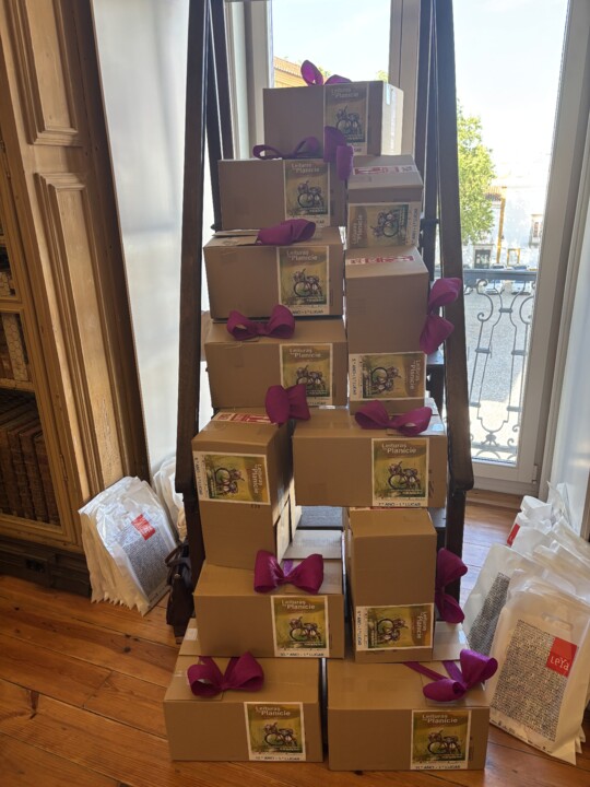 IMG_3982 - Fátima Manuel Caeiro Bonzinho.jpeg