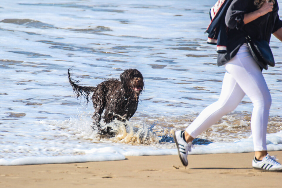 capitulo perfeito 21.jpg