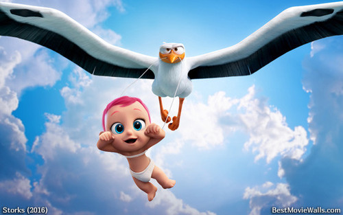 cegonhas 4.jpg cegonhas 4.jpg