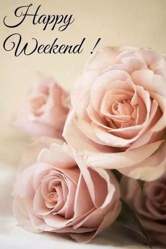 6674fe1d67ec95b7337a4af749cfb338.jpg 6674fe1d67ec95b7337a4af749cfb338.jpg