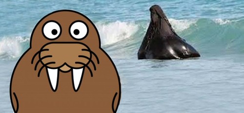 img5500b497ecdab.jpg img5500b497ecdab.jpg