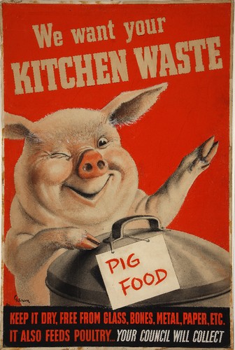 desperdício 2.jpg desperdício 2.jpg