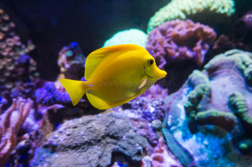 DSC09775.jpg DSC09775.jpg