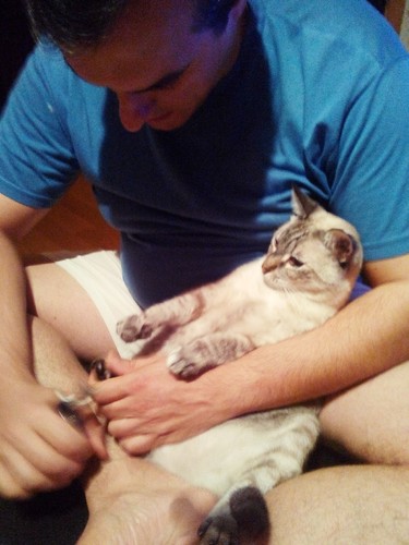 IMG_20141105_225903.jpg IMG_20141105_225903.jpg