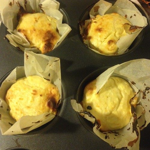 fotografia 1 (9).JPG