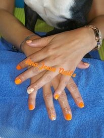 13895094_1268029286549837_2123552137605150222_n.jp 13895094_1268029286549837_2123552137605150222_n.jp