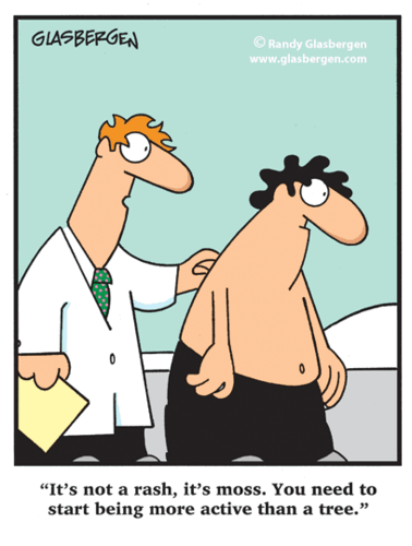 Cimélio 2.gif Cimélio 2.gif