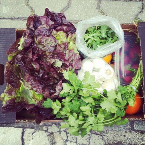 31230243_1085750254898068_1123183331425932154_n.jp