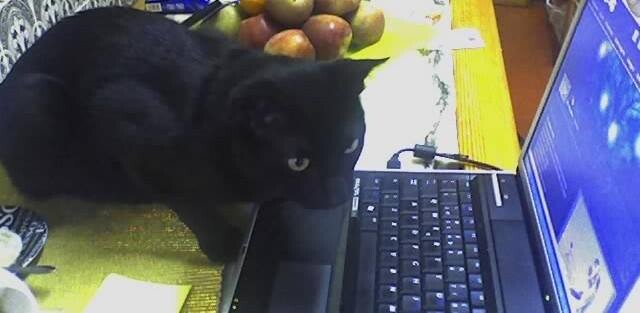 463336018_8712450528786437_2300465202081991631_n.j