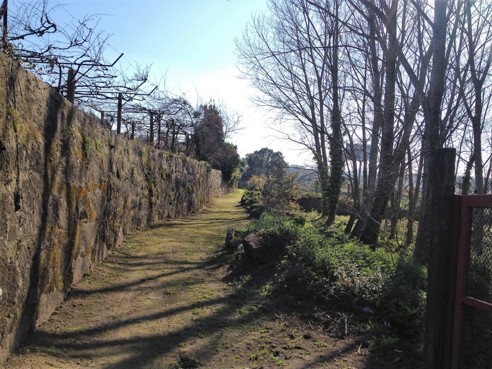 caminho para a fonte de aguas santas.JPG
