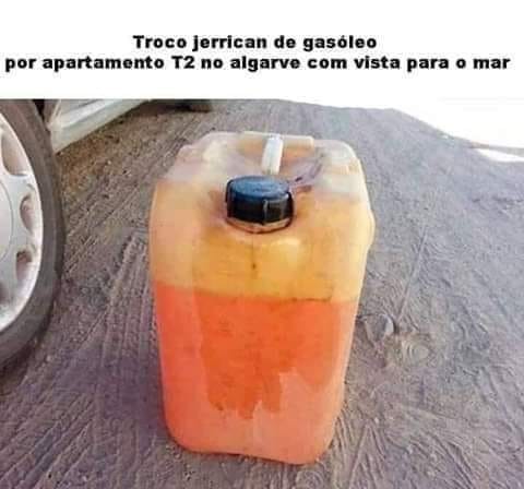 67748460_1266294043544799_2852523158366322688_n.jp