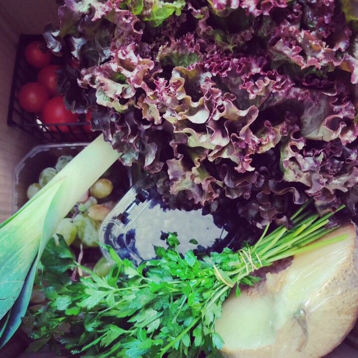 374645810_687030060121074_1119105776908487476_n.jp