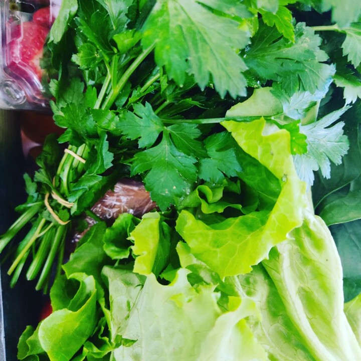 341309570_6041403275945683_5188261233825202680_n.j