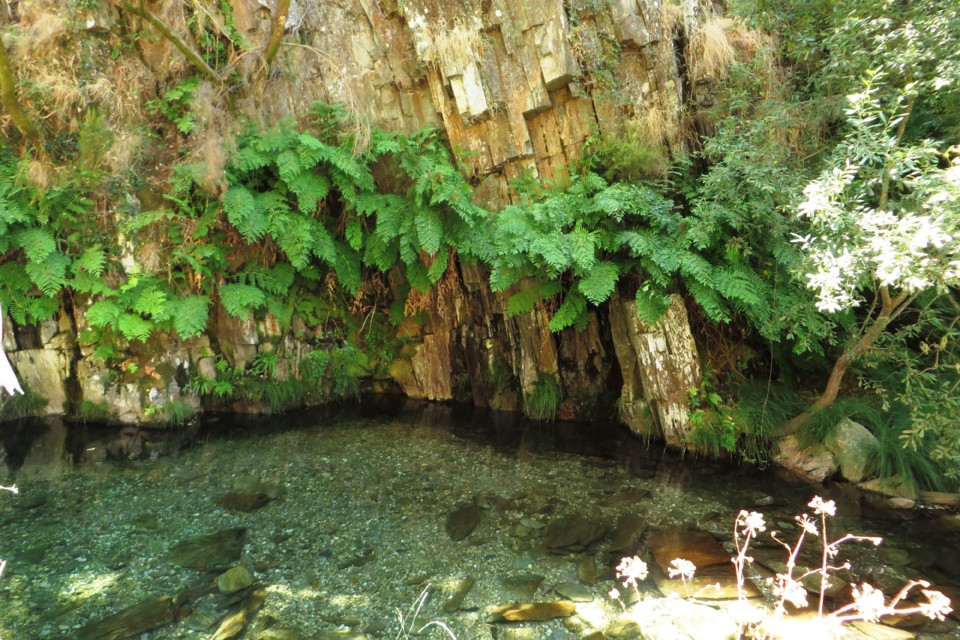 IMG_3498.JPG IMG_3498.JPG