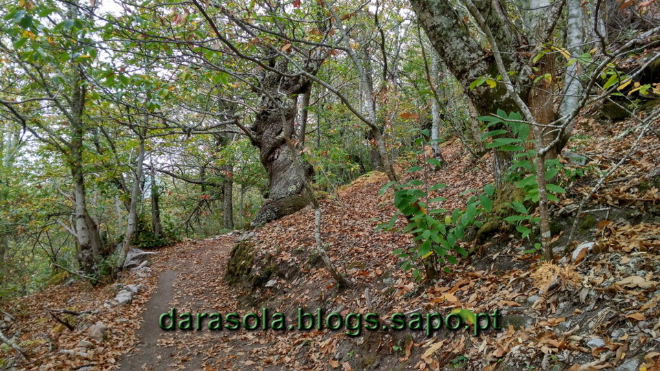 Ribeira_Sacra_64.jpg