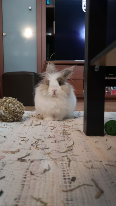 IMG_20210312_230903 (1).jpg