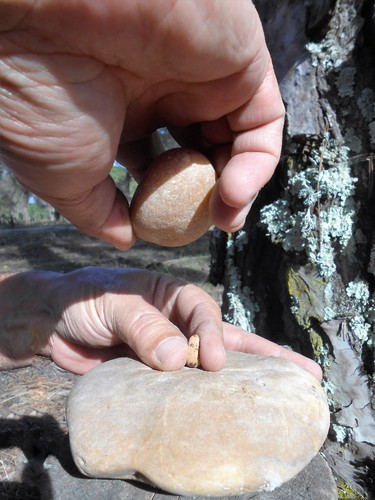 DSCN3404.jpg DSCN3404.jpg