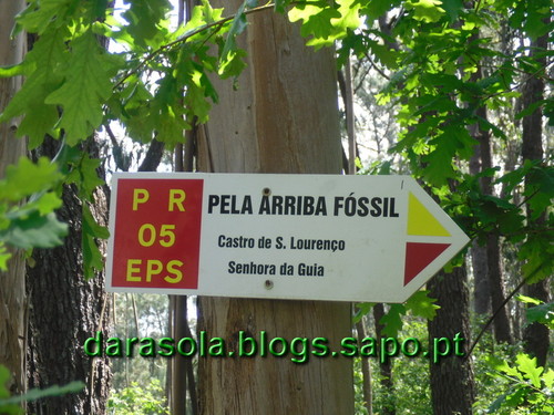Arriba_Fossil_Esposende_12.JPG
