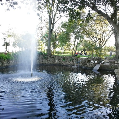 COPYRIGHT O RAPAZ DAS ILHAS