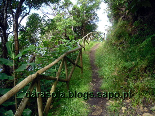 azores_flores_faja_lopo_Vaz_11.JPG azores_flores_faja_lopo_Vaz_11.JPG