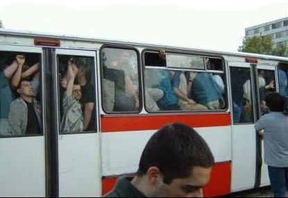 bus compression-papagaio.jpg