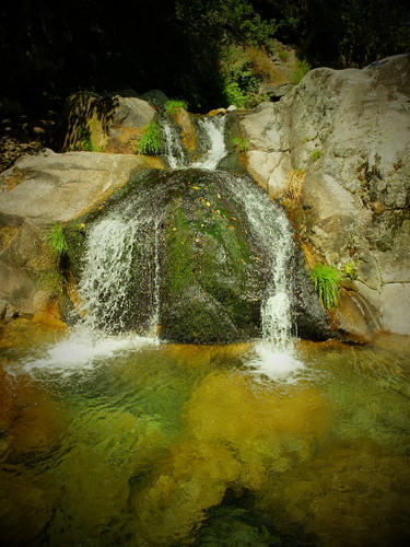 DSCF5437.JPG