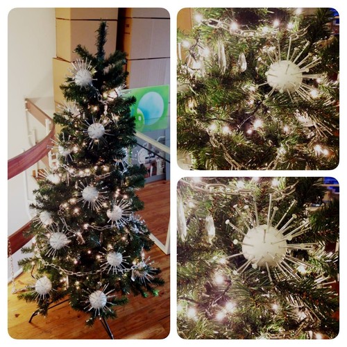 10600547_10205746854770283_4180432400881498325_n.j