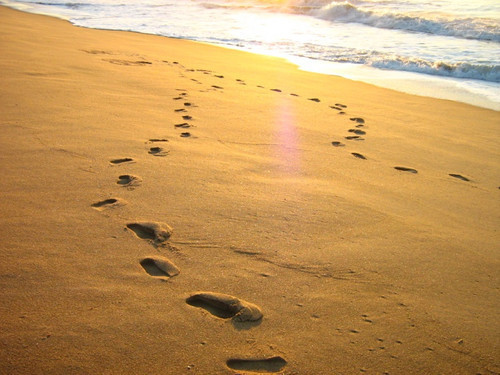 tumblr_inline_nv24ukAIJh1qk2iq1_500.jpg tumblr_inline_nv24ukAIJh1qk2iq1_500.jpg