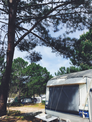 2C413E44-DC7A-45D5-B966-91E513DB78A9.JPG 2C413E44-DC7A-45D5-B966-91E513DB78A9.JPG