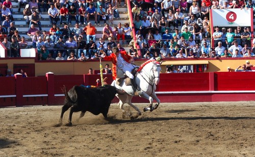 O primeiro para Rui Lopes...
