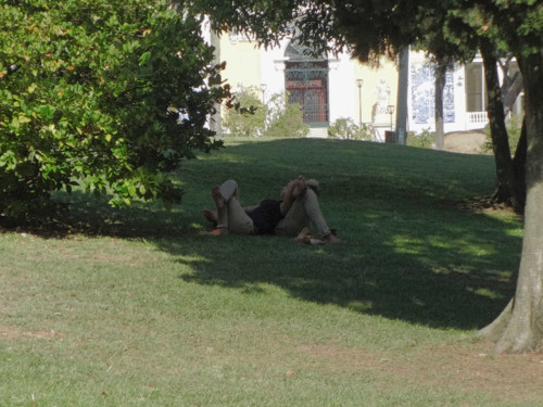 DSC00851-2.jpg DSC00851-2.jpg