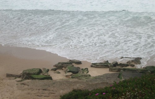 33081620_1652214258227206_7058418708162543616_n.jp