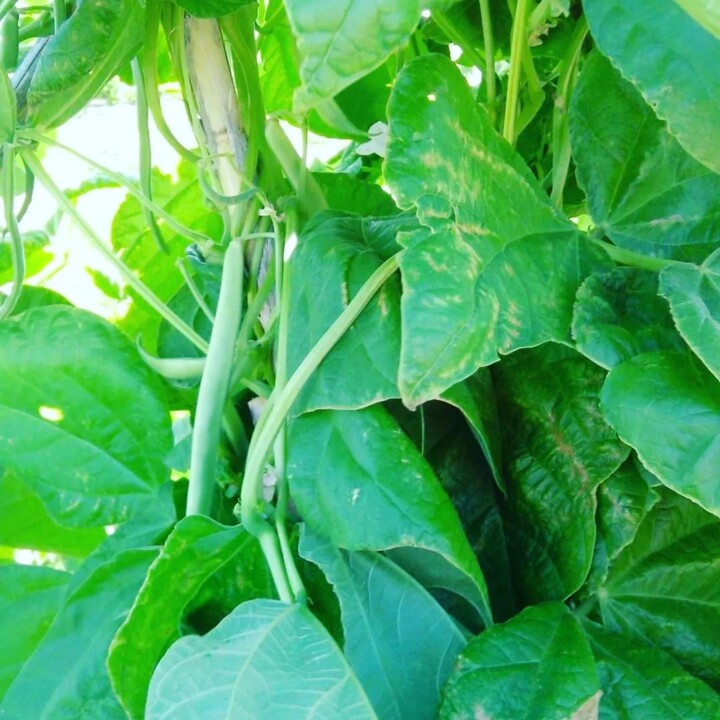 293820640_2360617150744699_7593548348425913083_n.j