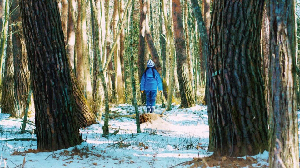 venezia-80-evil-does-not-exist-clip-ufficiale-del-