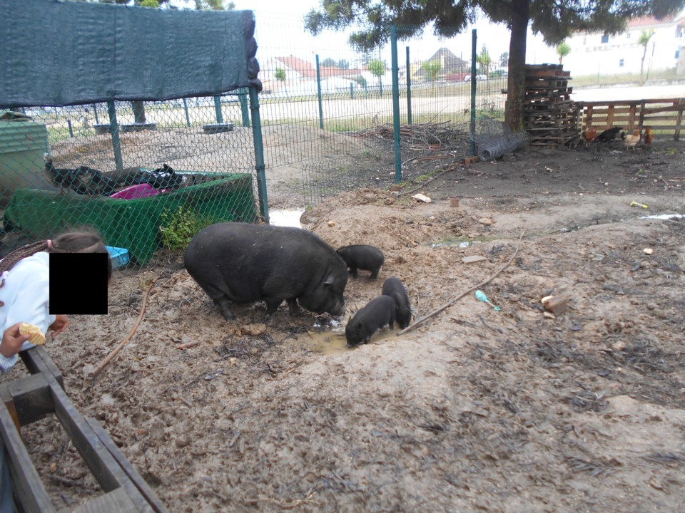 DSCN084911.jpg DSCN084911.jpg