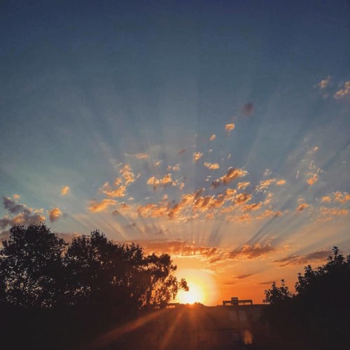 IMG_20181029_212247_608.jpg IMG_20181029_212247_608.jpg