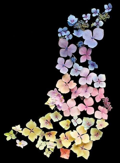 70292914_2337272483035277_9026438715362246656_n.jp