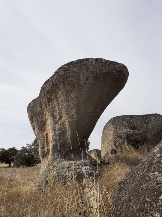 Rocha cogumelo I. Foto original. 2021.10.09.jpg