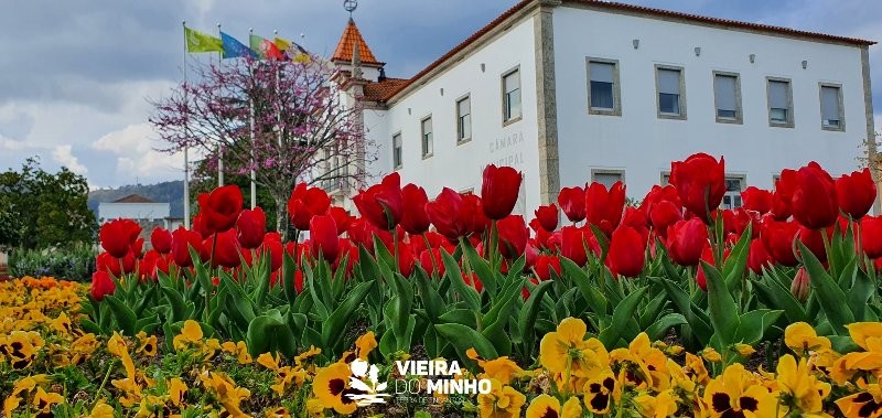 277102417_2372112049597279_7624390123437983606_n.j