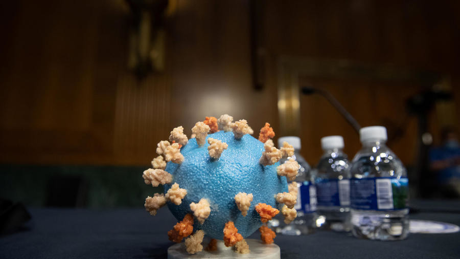 w900-p16x9-100720-covid-19-cerveau-m.jpg w900-p16x9-100720-covid-19-cerveau-m.jpg